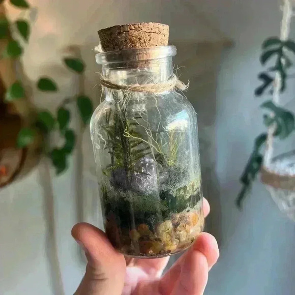 Mini Moss Terrarium with Amethyst Crystal enchanted fairy Cottagecore Witchy - Picture 2 of 6